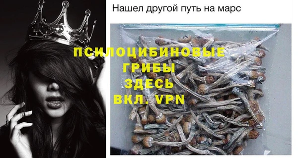 мет Аркадак