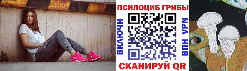 Псилоцибиновые грибы GOLDEN TEACHER  Купить  Сенгилей 